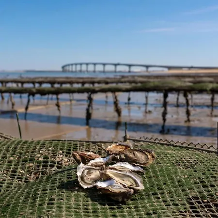 Maison Au Calme A L'oree D'un Bois, Proche Plages * 리베도플라줴